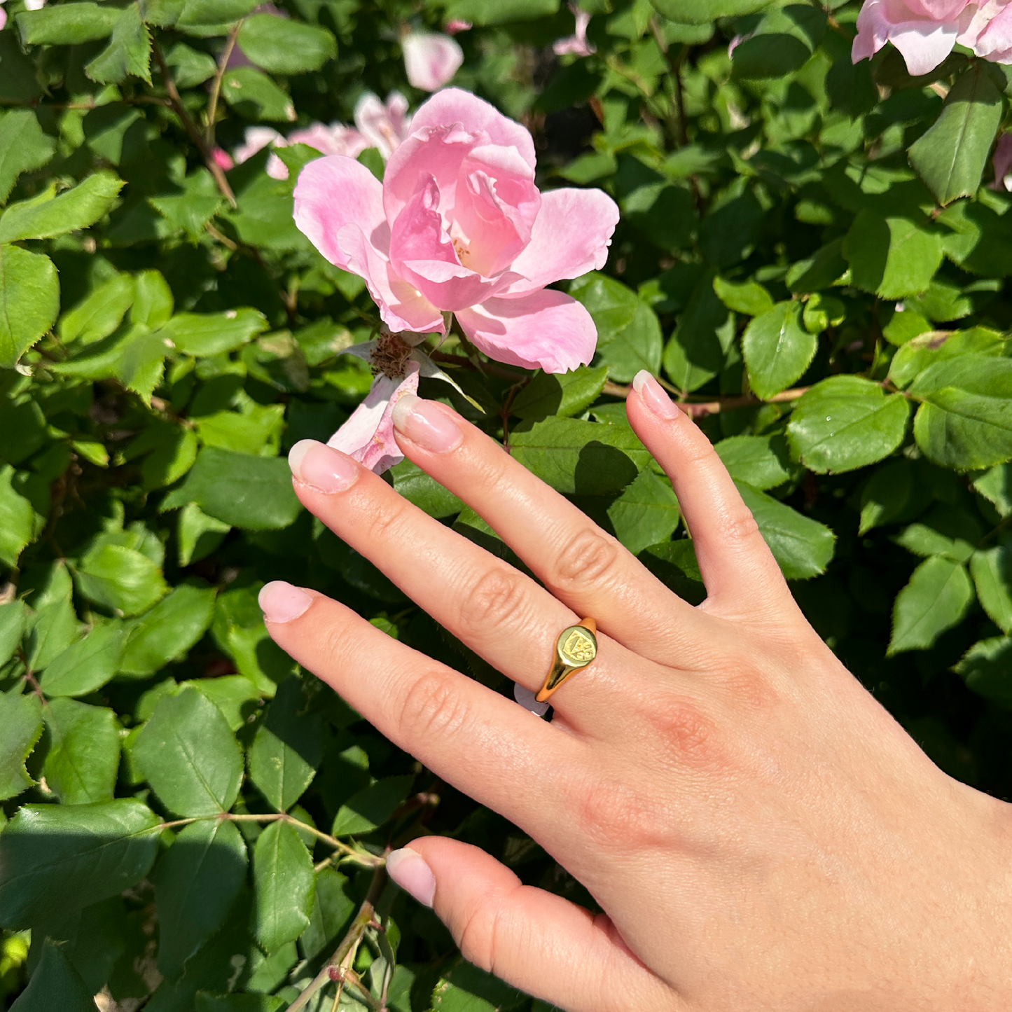 PETITE SIGNET RING - Gold Vermeil